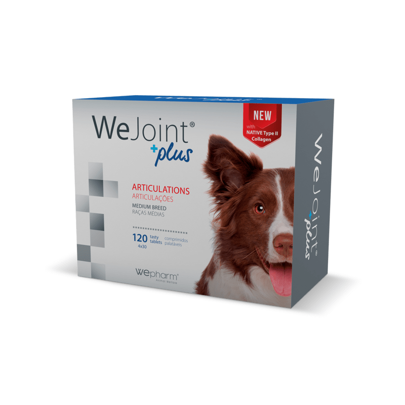 We joint plus medium breed