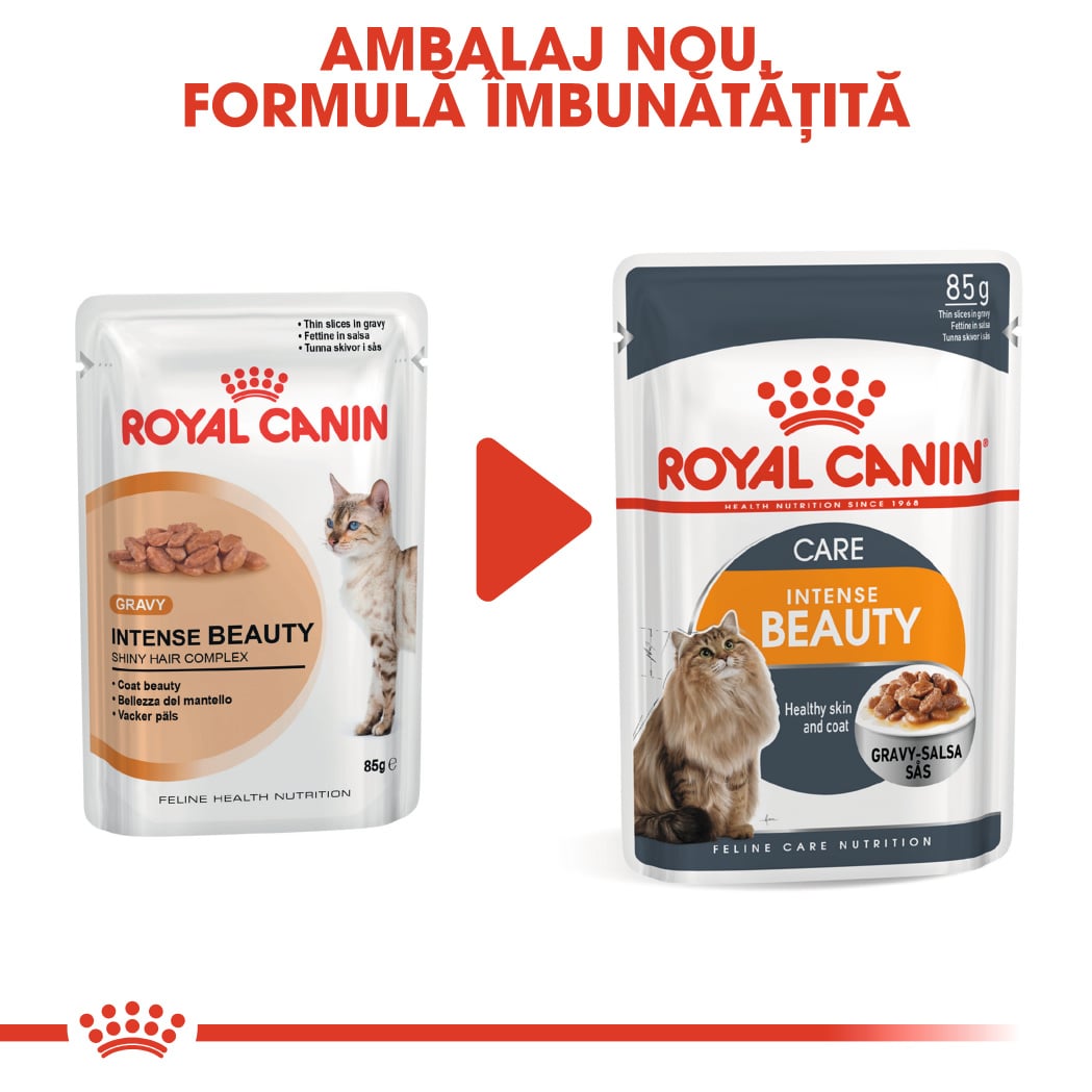 RC-FCN-Wet-IntenseBeautyGravy-CV-Eretailkit-1﻿-ro_RO-min