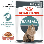 RC-FCN-Wet-HairballCareGravy-MV-Eretailkit﻿-ro_RO-min