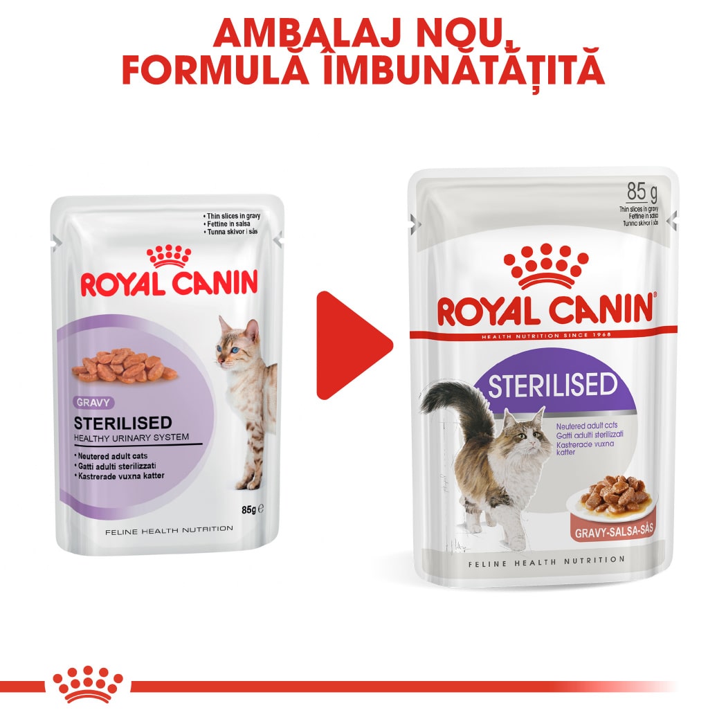 RC-FHN-Wet-SterilisedGravy-CV-Eretailkit-6﻿-ro_RO-min