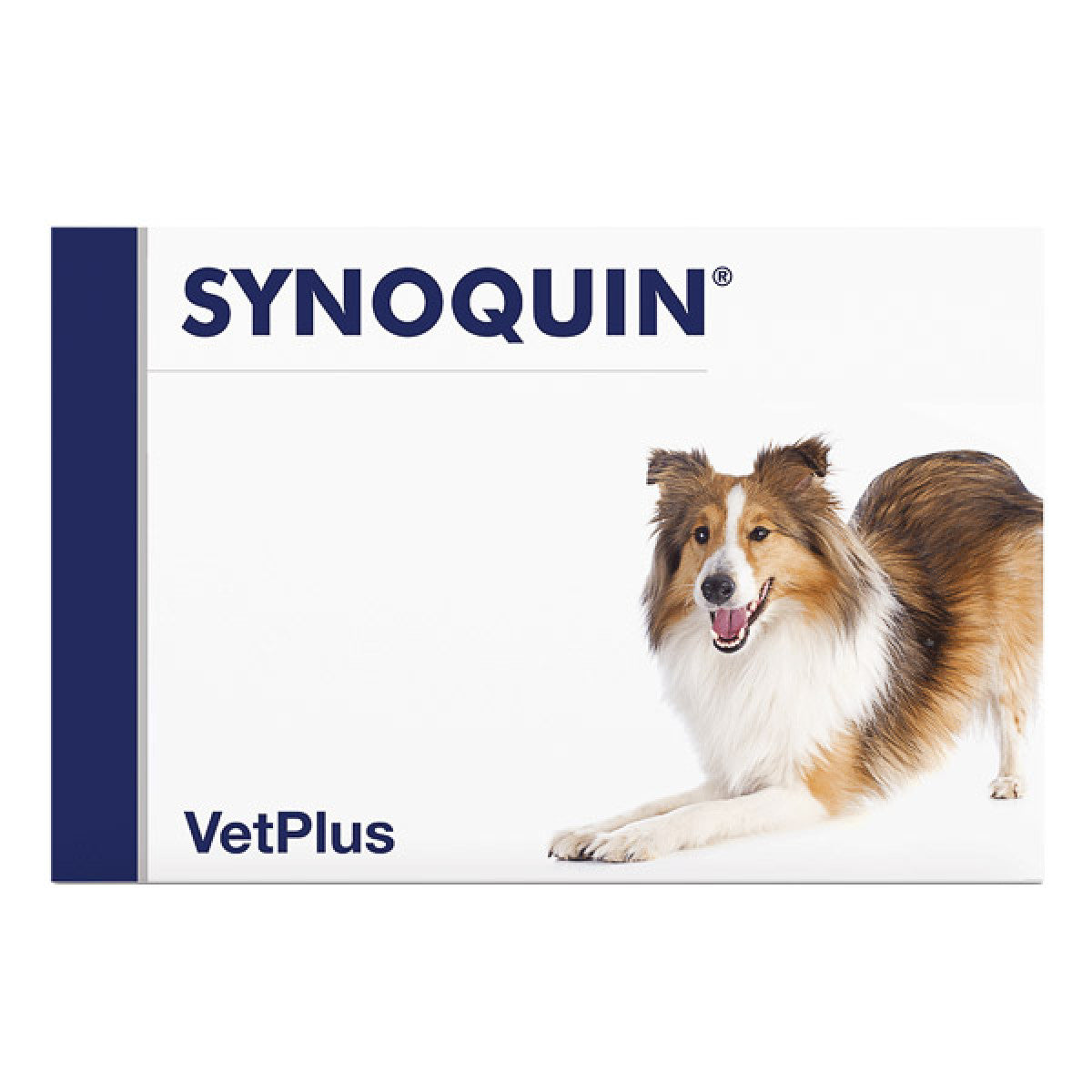 synoquin-mediu-caine-1200×1200