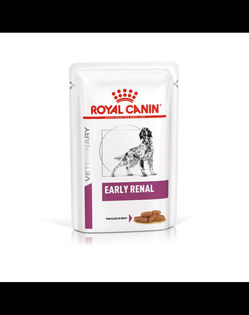 renal dog early
