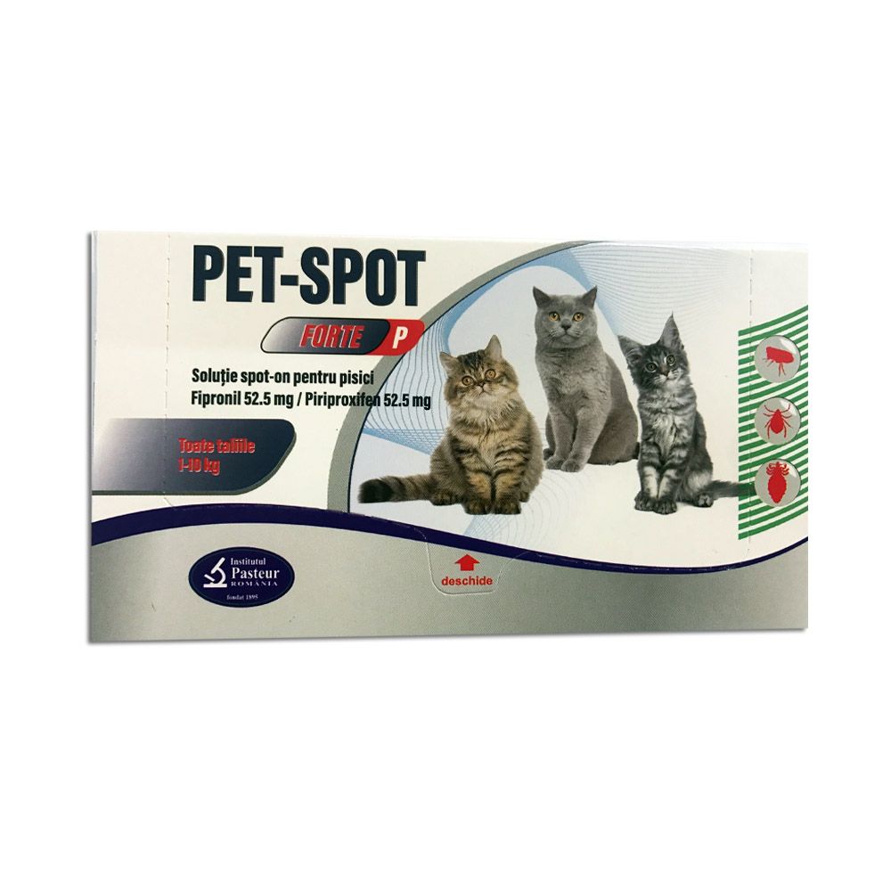 pet-spot-forte-pisici-6490