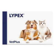 lypex-60-capsule