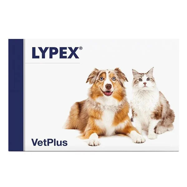 lypex-60-capsule