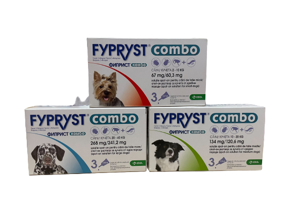 IMG_0216-removebg-preview