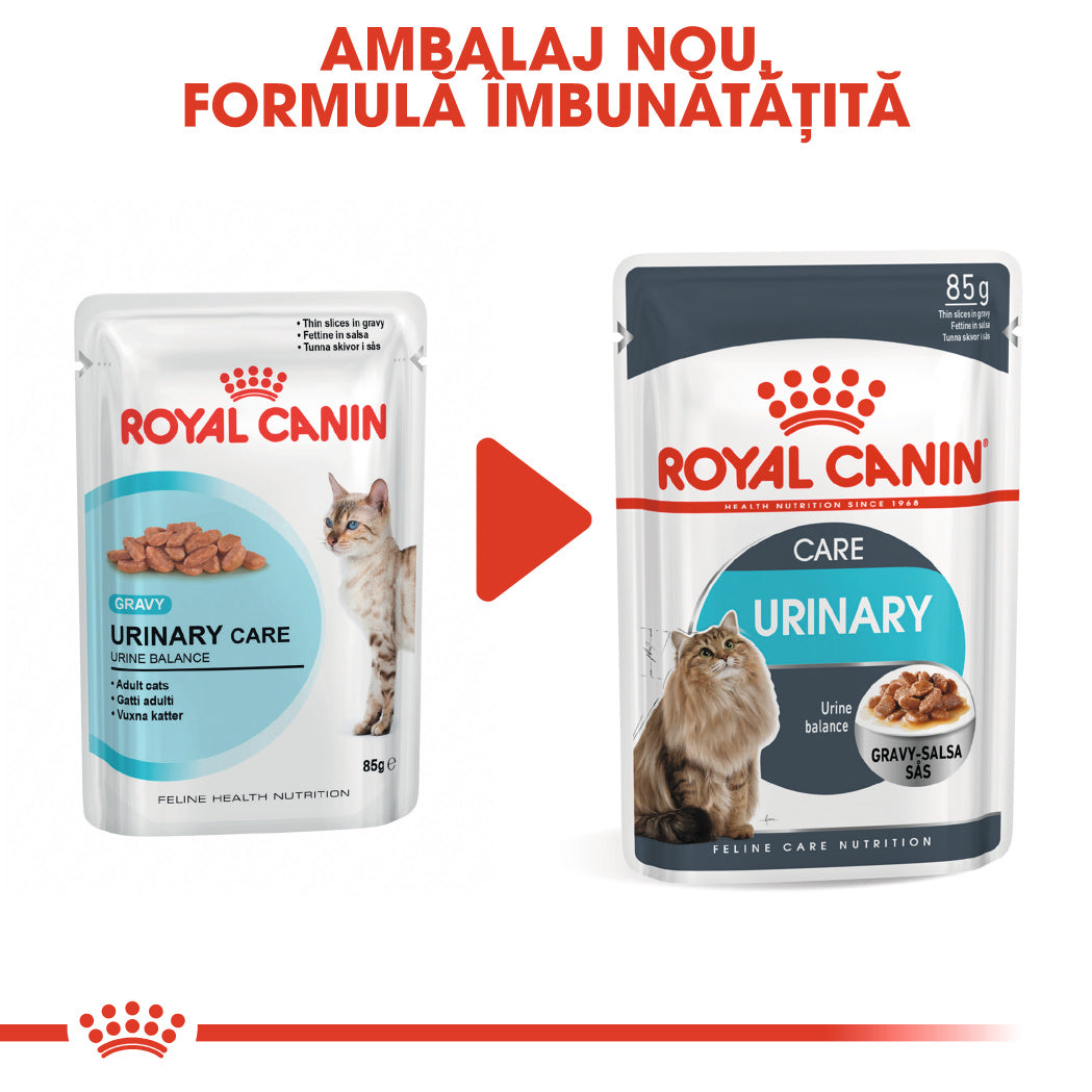 RC-FCN-Wet-UrinaryCareGravy-CV-Eretailkit-1﻿-ro_RO