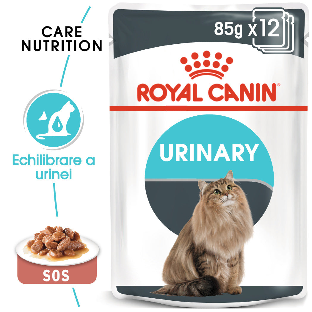 RC-FCN-Wet-UrinaryCareGravy-MV-Eretailkit﻿-ro_RO