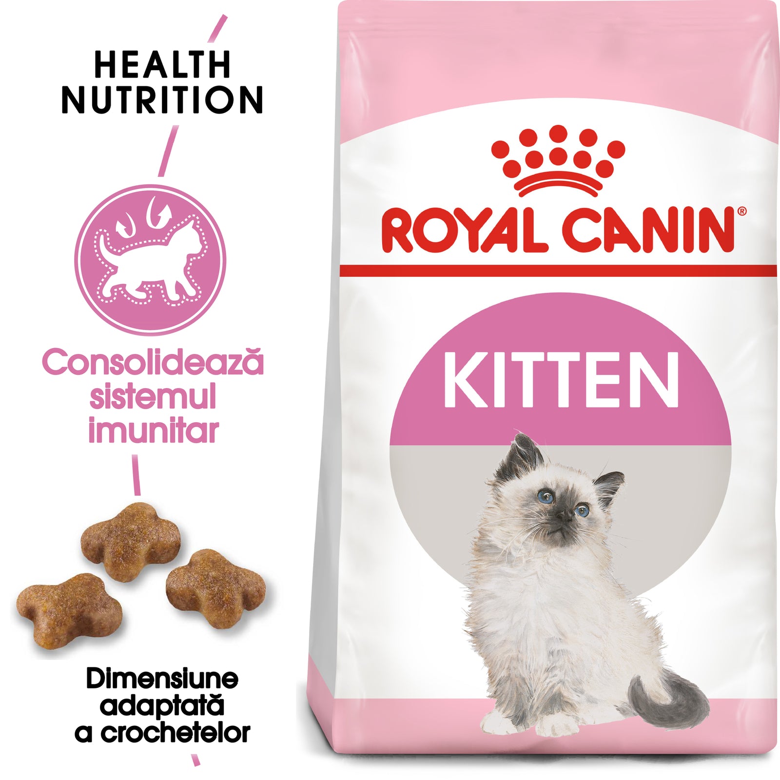 RC-FHN-Kitten-FHN KITTEN_000_ROMANIA-ROMANIAN