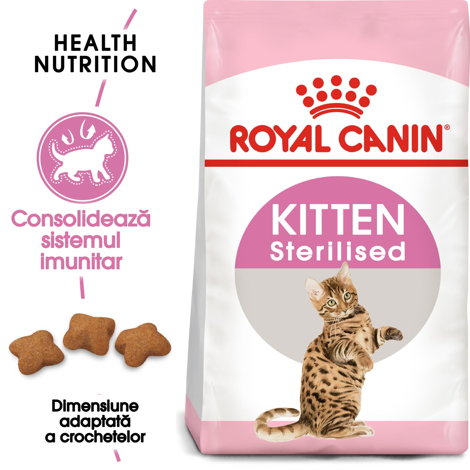 RC-FHN-KittenSterilised-FHN KITTEN_002_ROMANIA-ROMANIAN