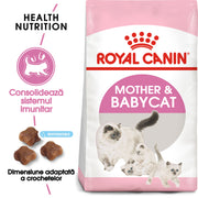 RC-FHN-M&amp;B-FHN KITTEN_001_ROMANIA-ROMANIAN