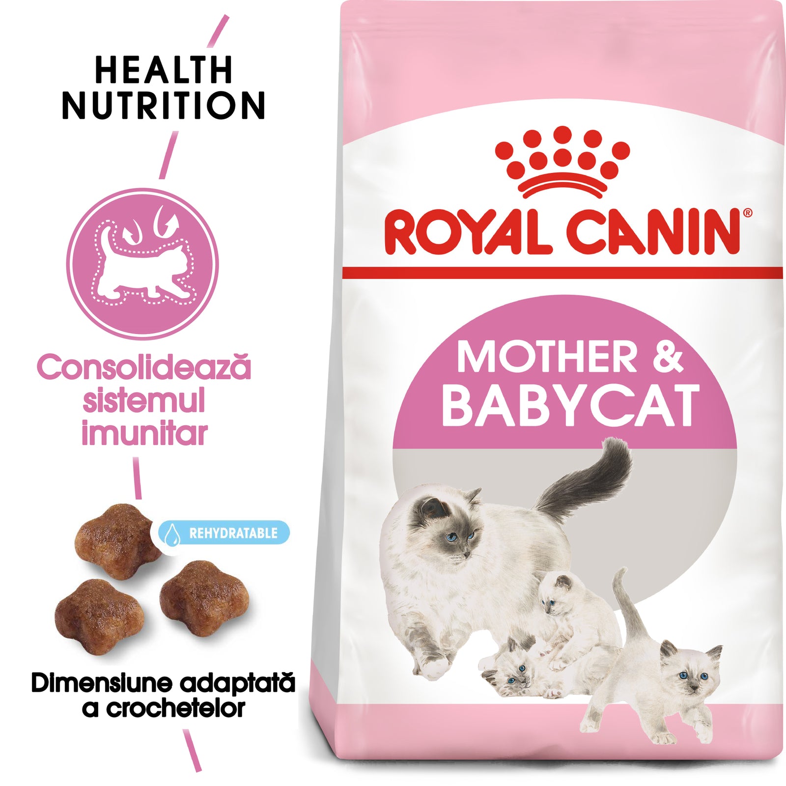 RC-FHN-M&amp;B-FHN KITTEN_001_ROMANIA-ROMANIAN