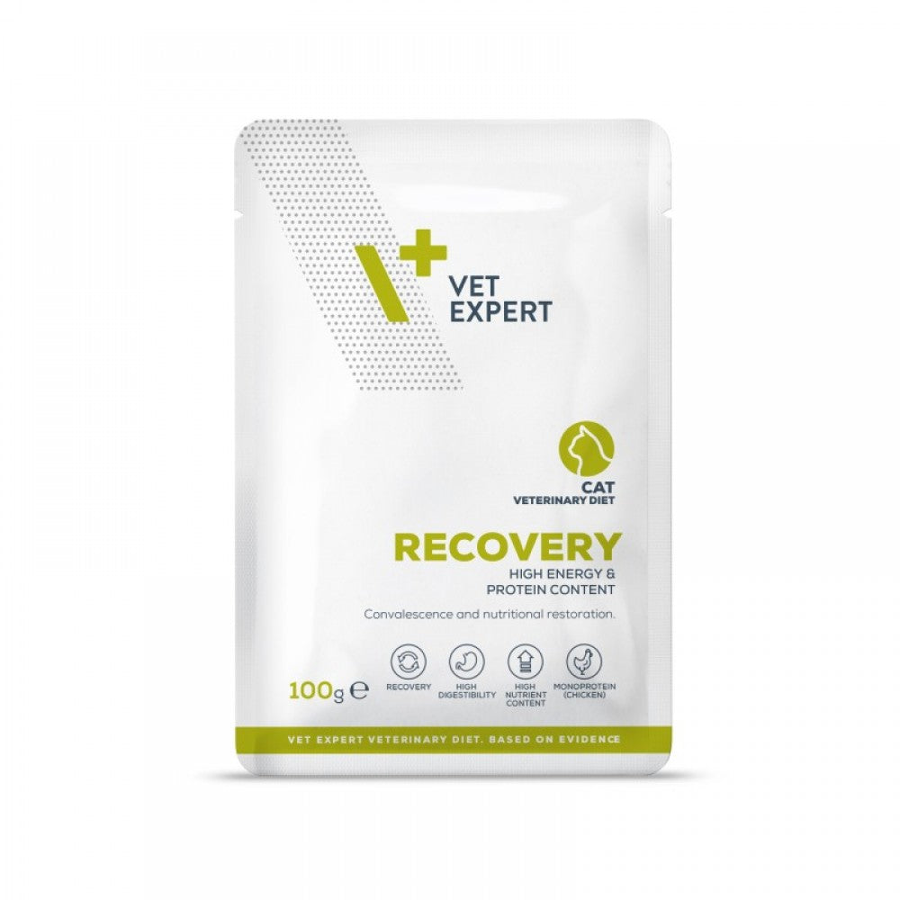 4T Dieta Veterinara Recovery, VetExpert, plic 100g