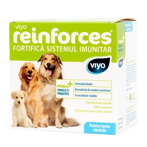 Viyo-Reinforces-Dog-All-breed-7×3373