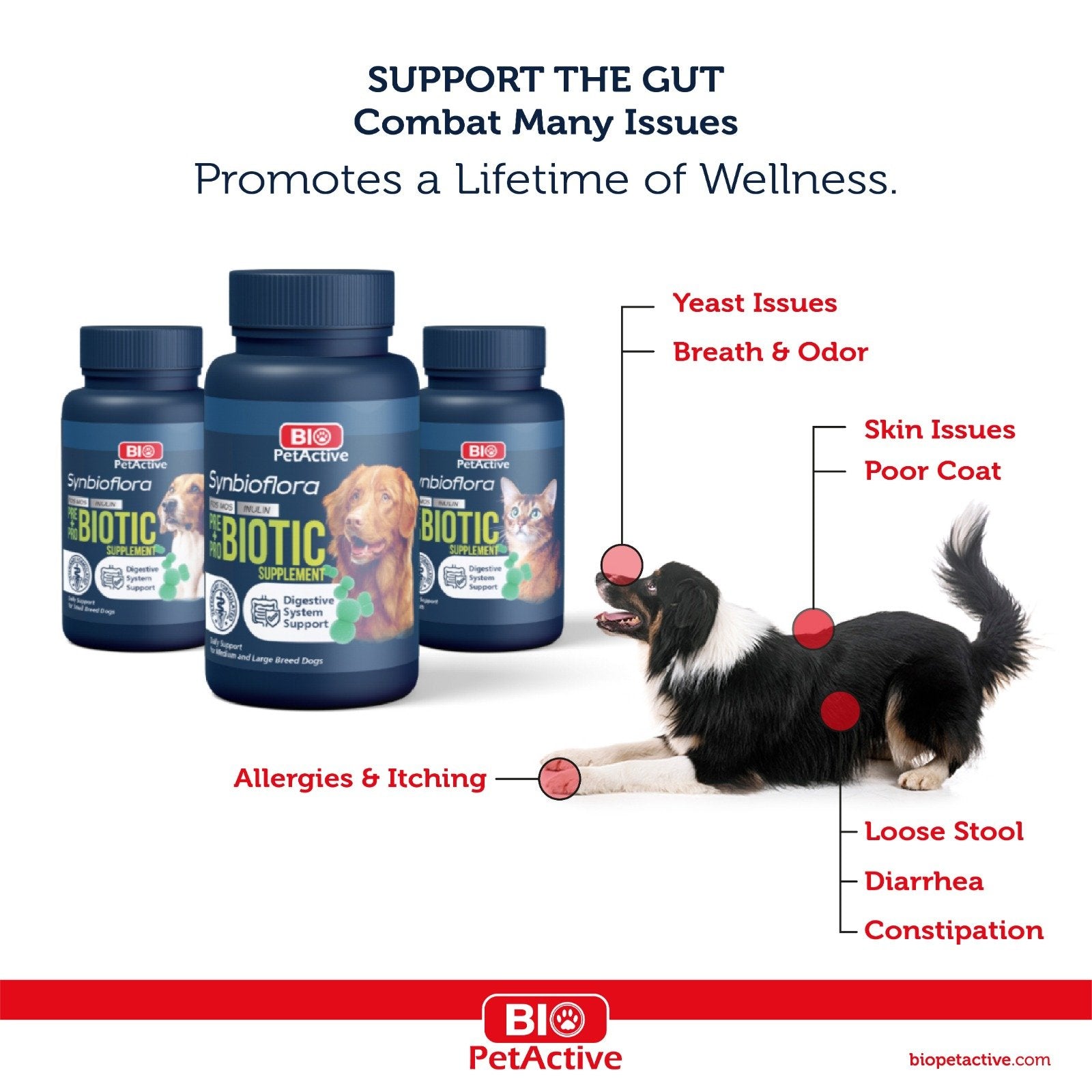 Bio PetActive Synbioflora 60 tab pentru Caini de Talie Mica 1