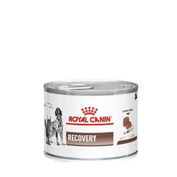 ADAVET Royal Canin RECOVERY ULTRA SOFT CAT DOG CAN 195g-min
