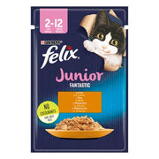 7613287490117_Felix Fantastic JNR Pui_1_0