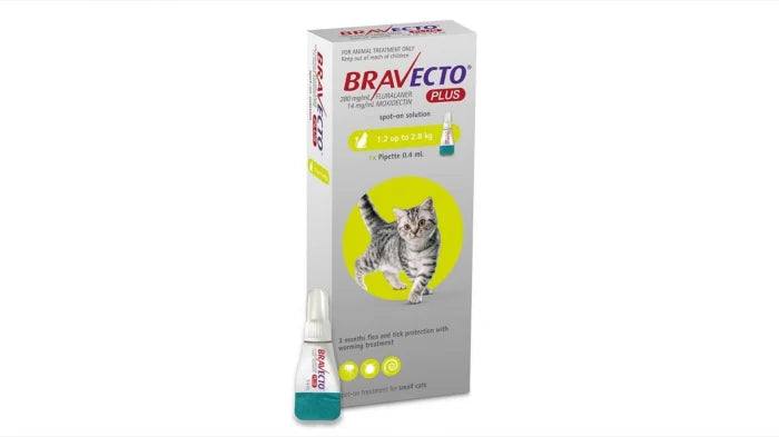 bravecto-plus-spot-on-cat-500-mg-6-25-12-5-kg-1-pipeta-copie-1512-7190