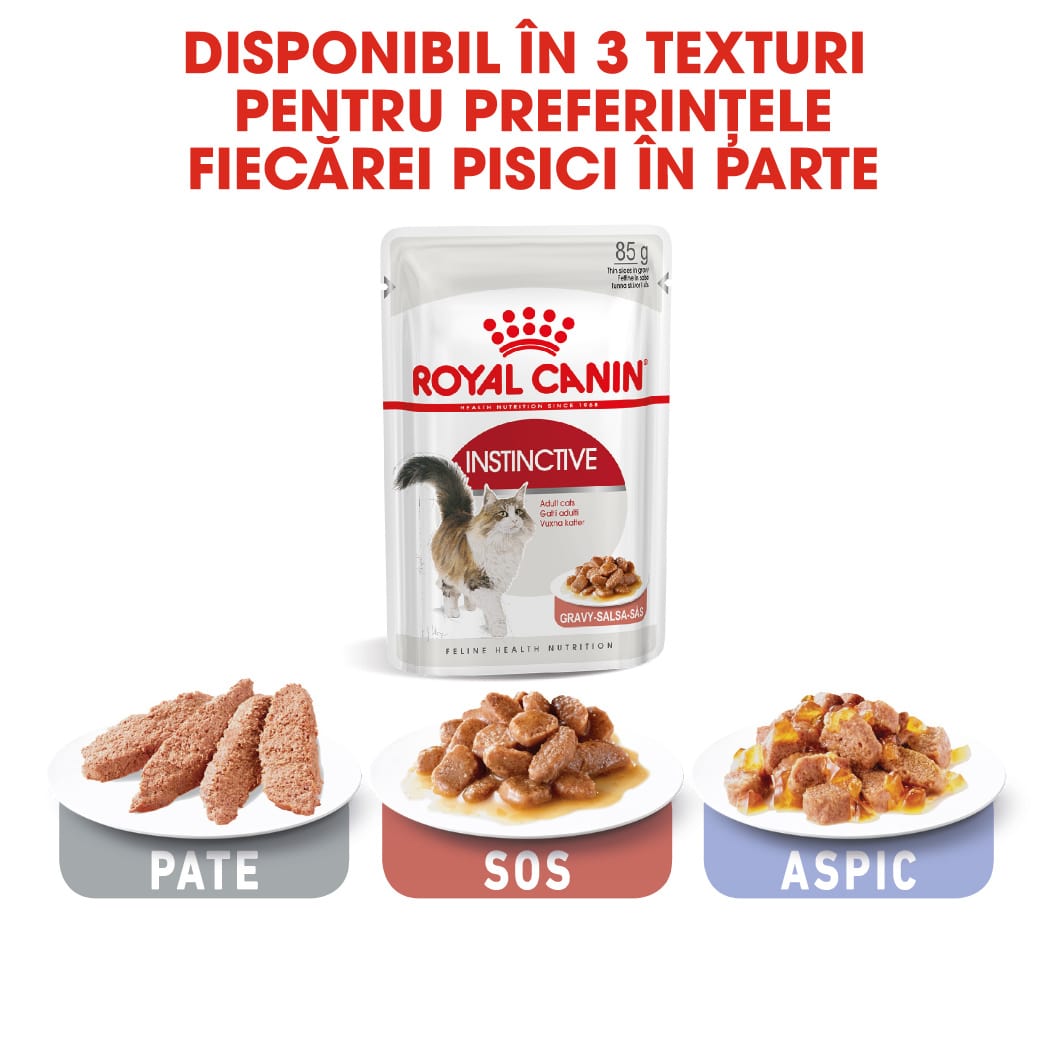 RC-FHN-Wet-InstinctiveGravy-CV-Eretailkit-5-ro_RO-min