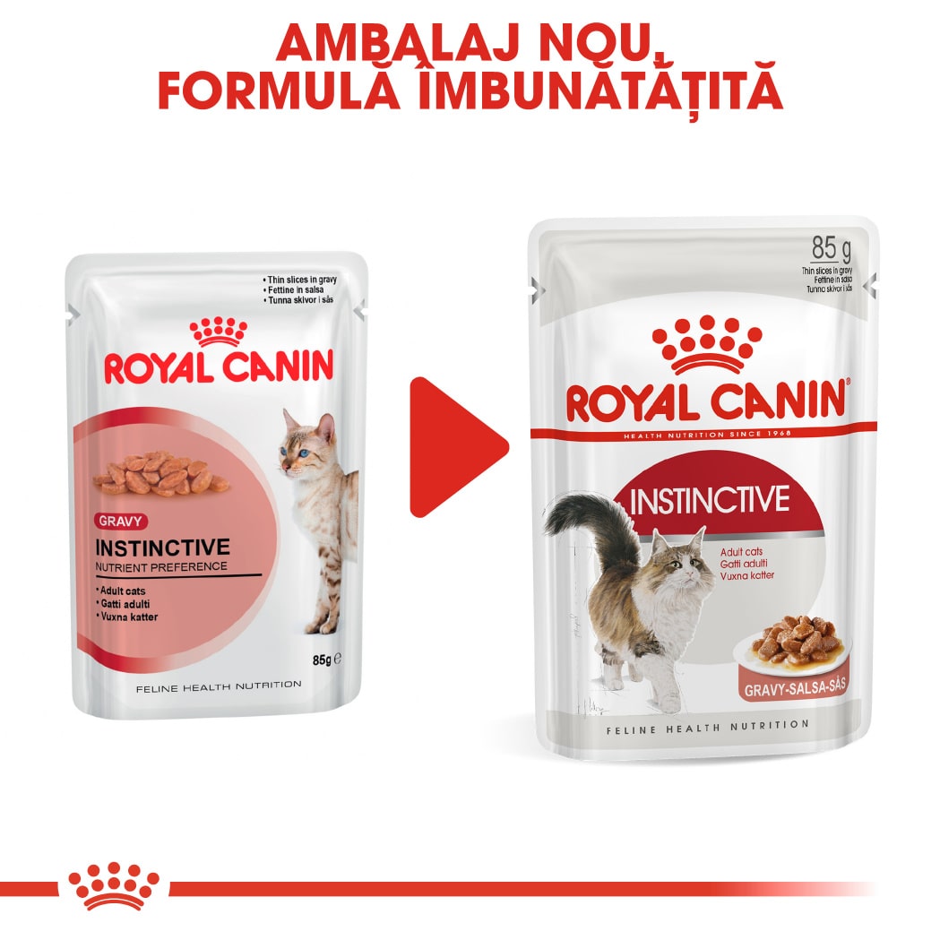 RC-FHN-Wet-InstinctiveGravy-CV-Eretailkit-6﻿-ro_RO-min