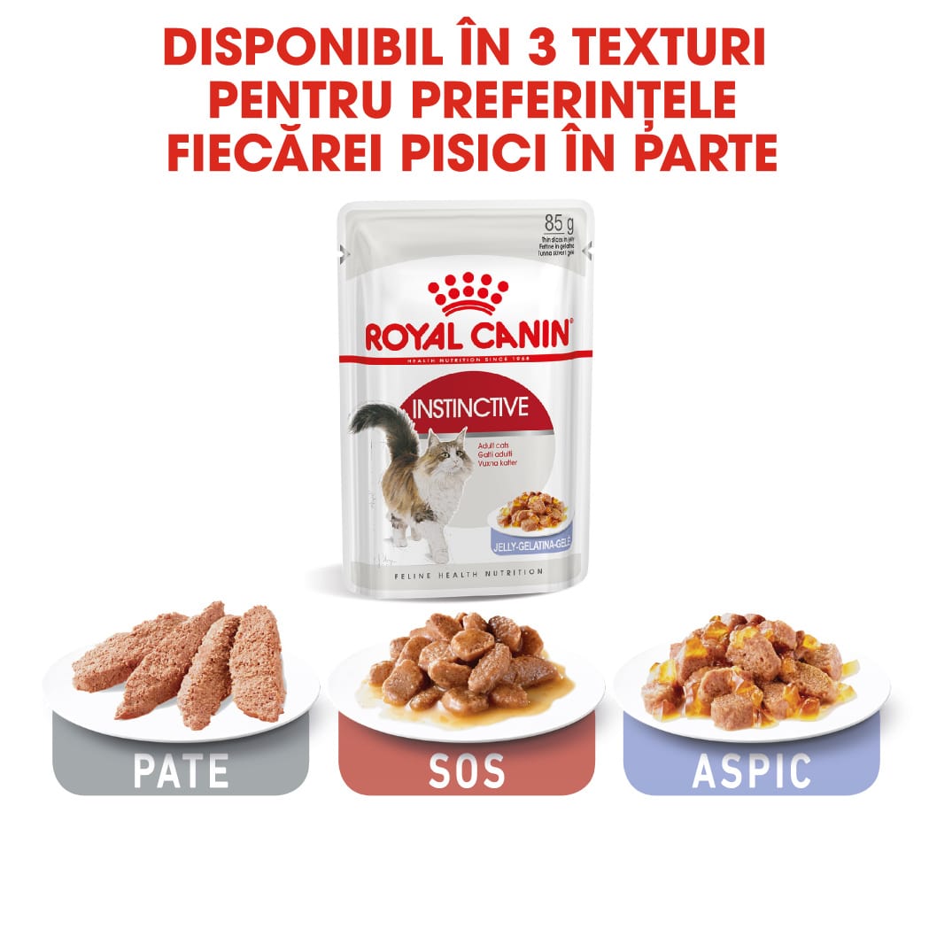 RC-FHN-Wet-InstinctiveJelly-CV-Eretailkit-5-ro_RO-min