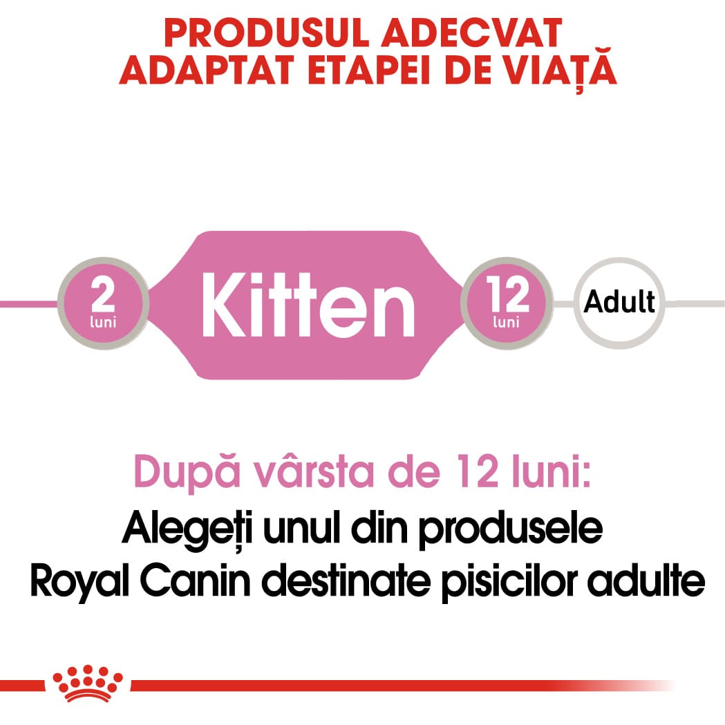 RC-FHN-KittenInstinctiveGravy-CV-Eretailkit-1﻿-ro_RO-min