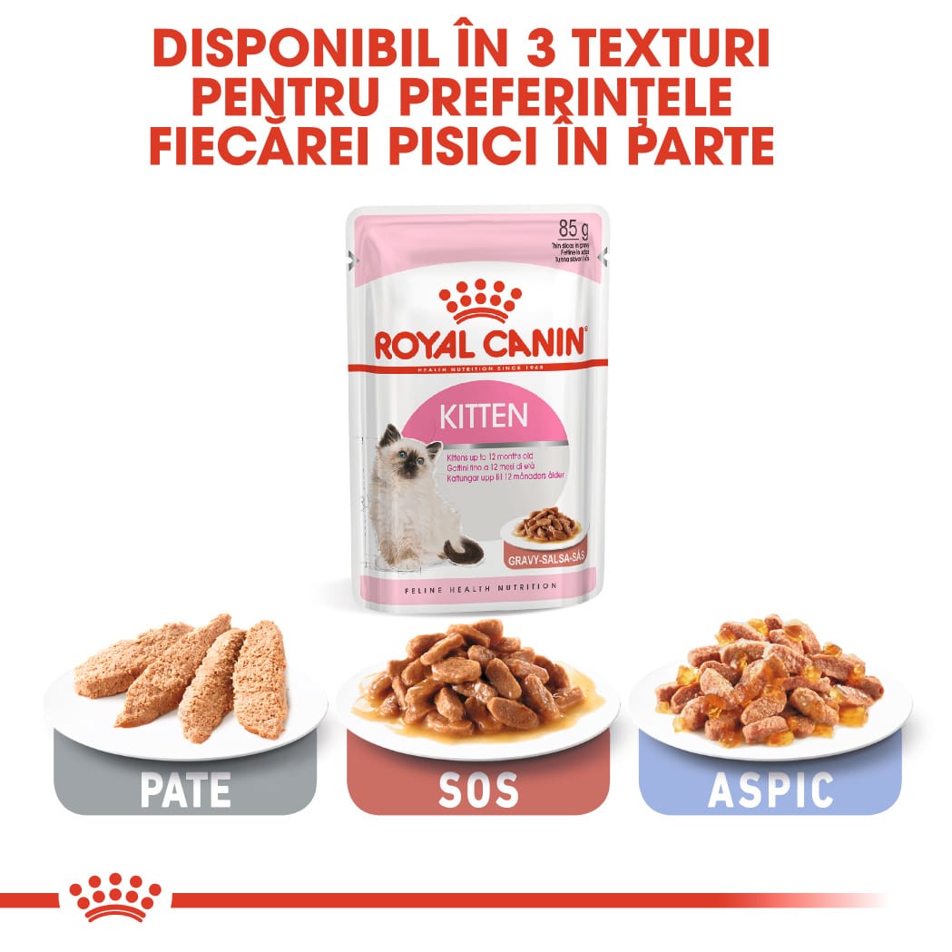 RC-FHN-Wet-KittenInstinctiveGravy-CV-Eretailkit-5﻿-ro_RO-min