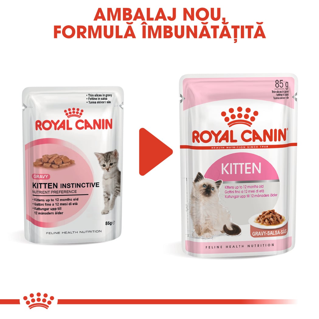 RC-FHN-Wet-KittenInstinctiveGravy-CV-Eretailkit-6﻿-ro_RO-min