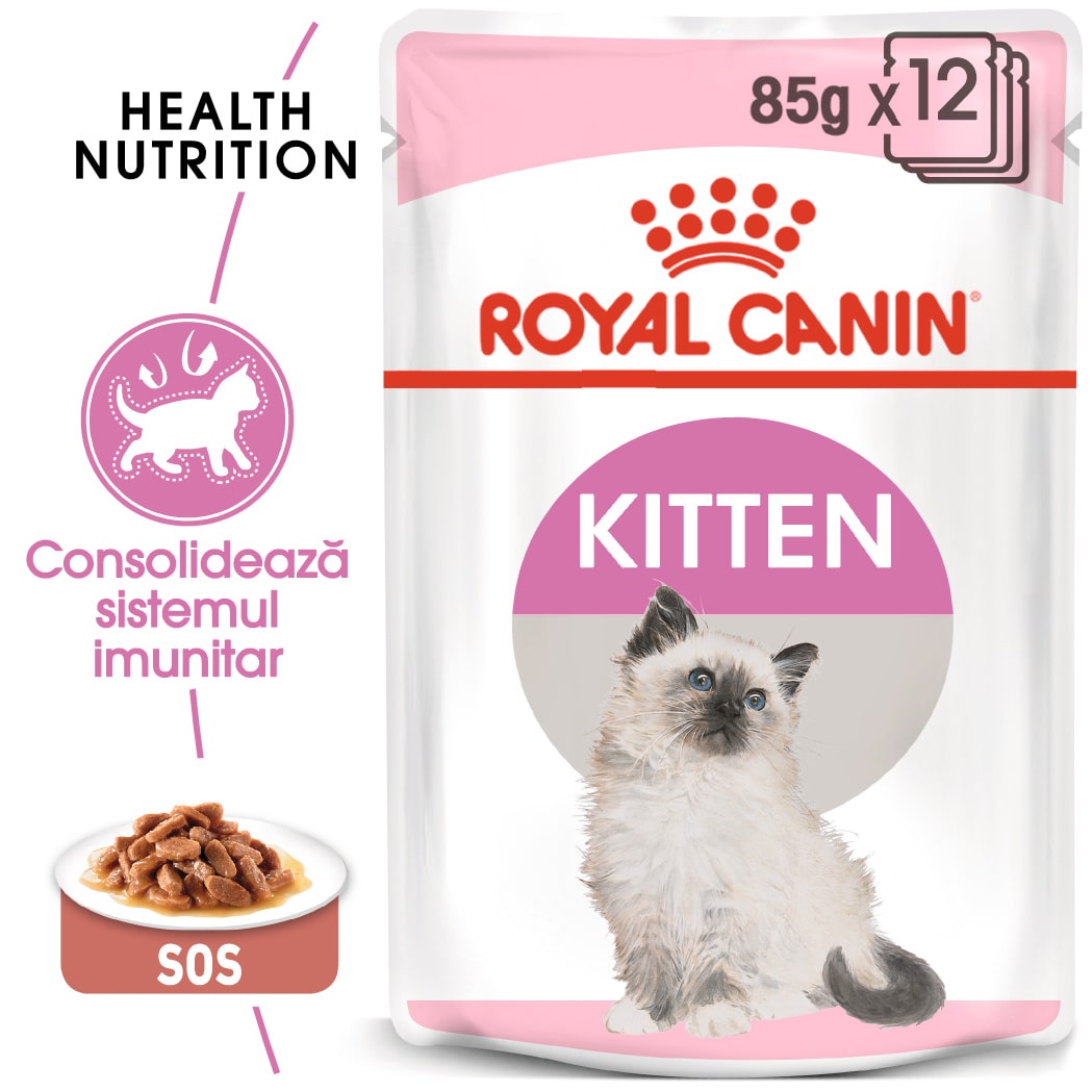 RC-FHN-Wet-KittenInstinctiveGravy-MV-Eretailkit﻿-ro_RO-min