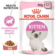 RC-FHN-Wet-KittenInstinctiveGravy-MV-Eretailkit﻿-ro_RO-min