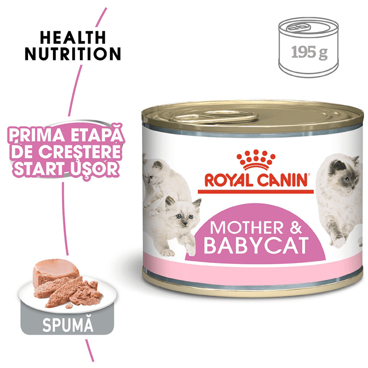 mother-and-baby-cat-Adavet-min