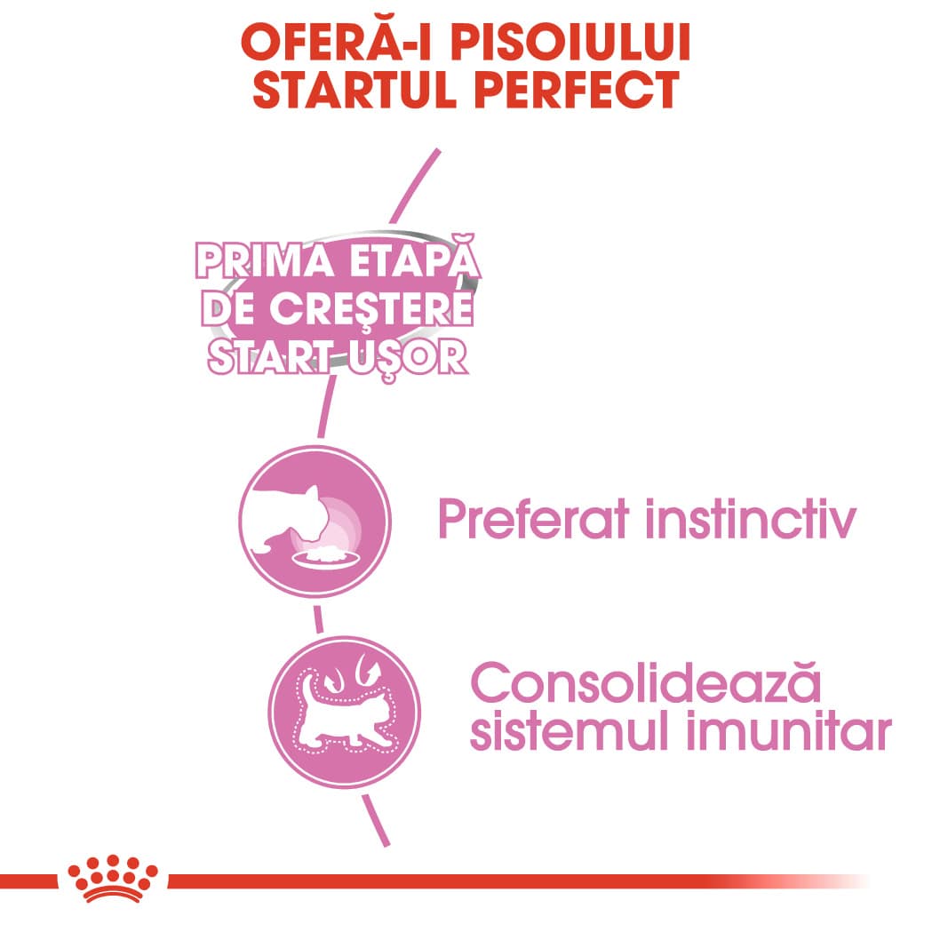 RC-FHN-Wet-M&BLoaf-CV-Eretailkit-2﻿-ro_RO-min