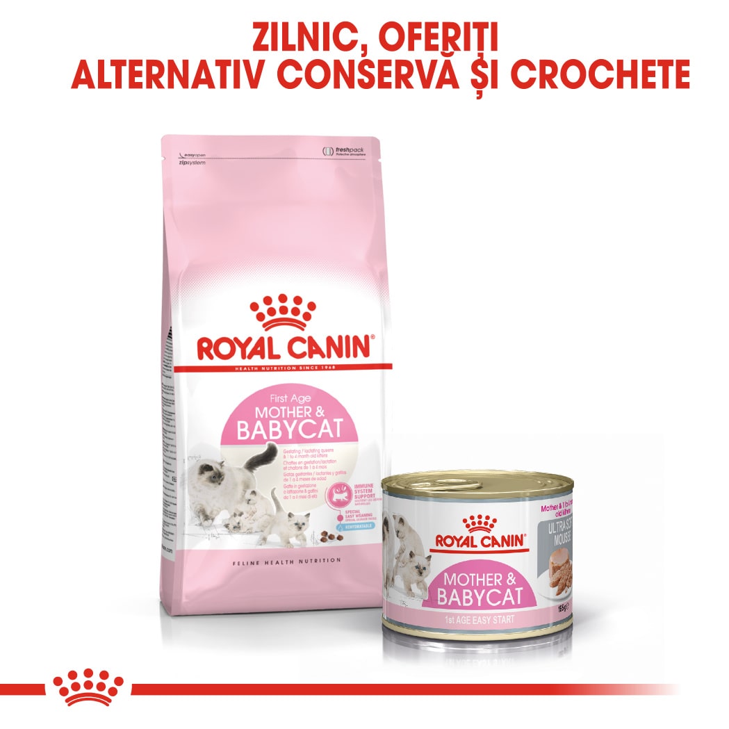 RC-FHN-Wet-M&BLoaf-CV-Eretailkit-6-ro_RO-min