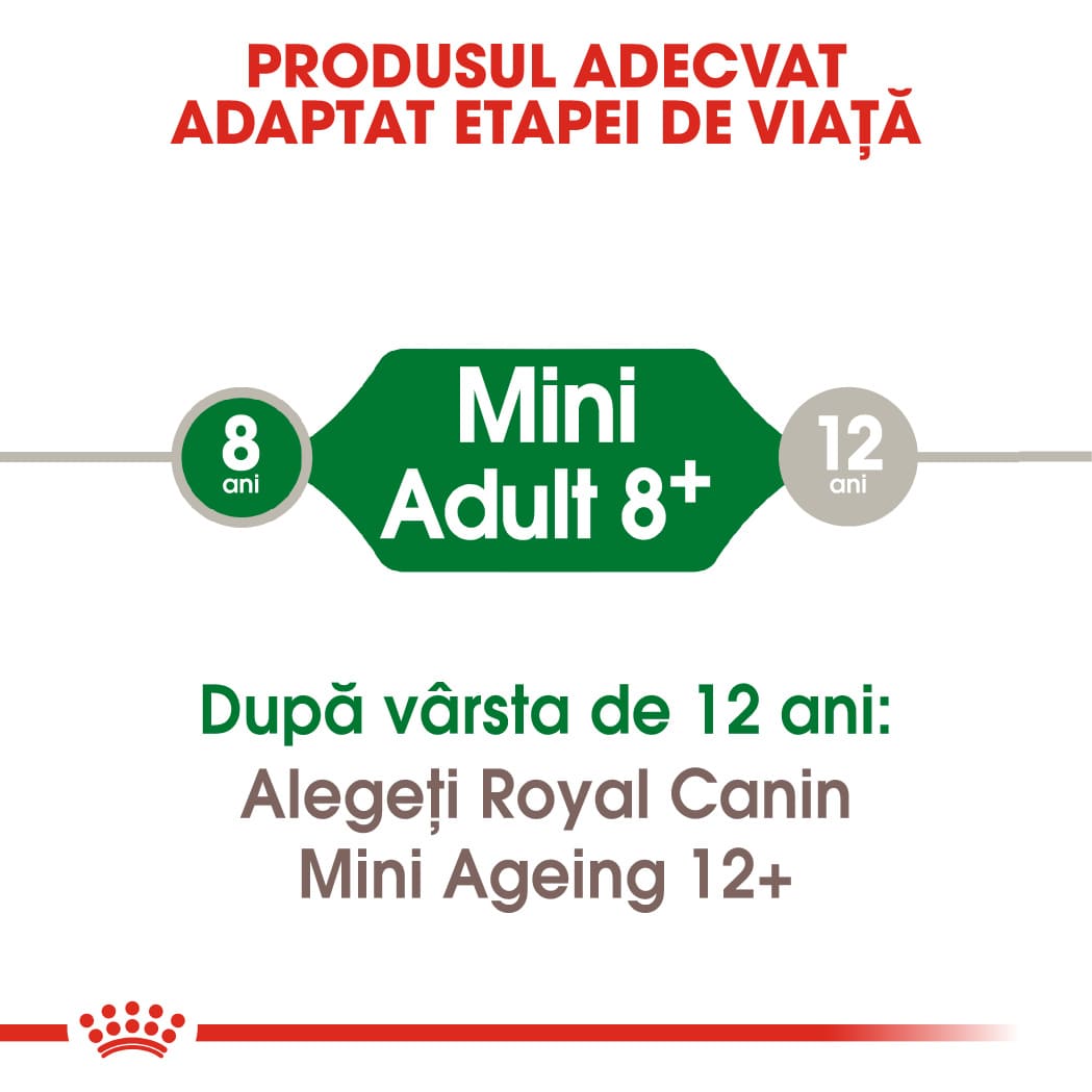 RC-SHN-AdultMini8-CV-EretailKit-1﻿-ro_RO-min