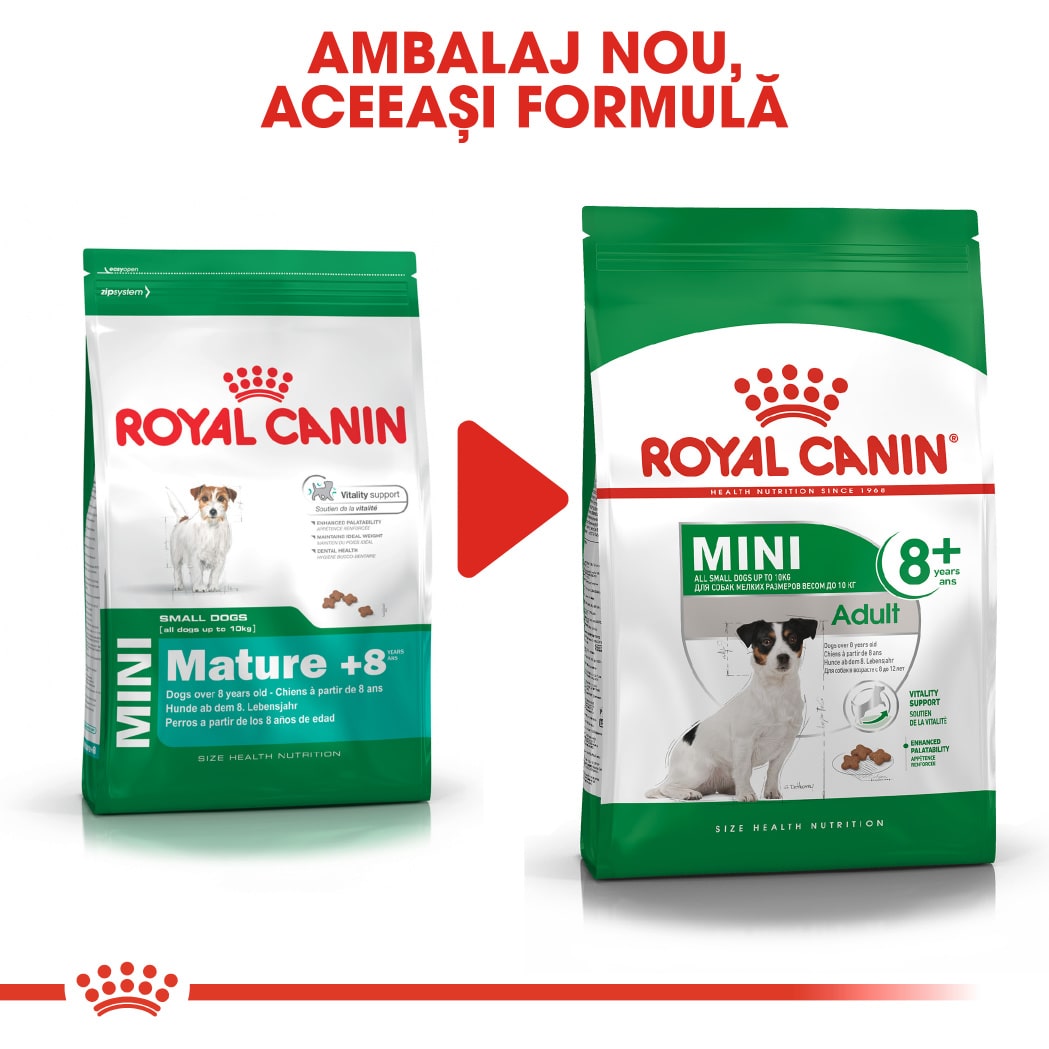 RC-SHN-AdultMini8-CV-EretailKit-6﻿-ro_RO-min