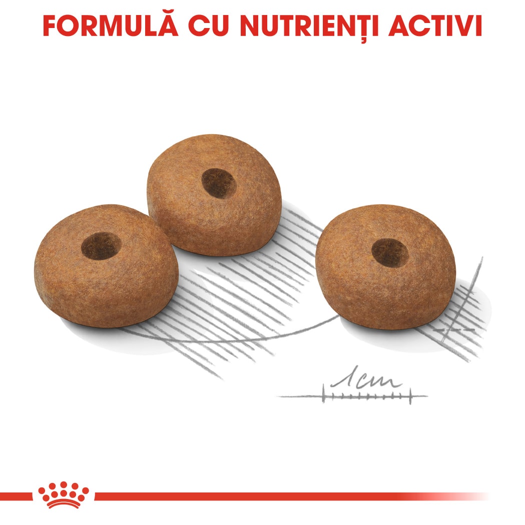 RC-CCN-LightMini-CV-Eretailkit-5﻿-ro_RO-min