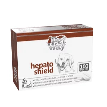 hepato-1.png