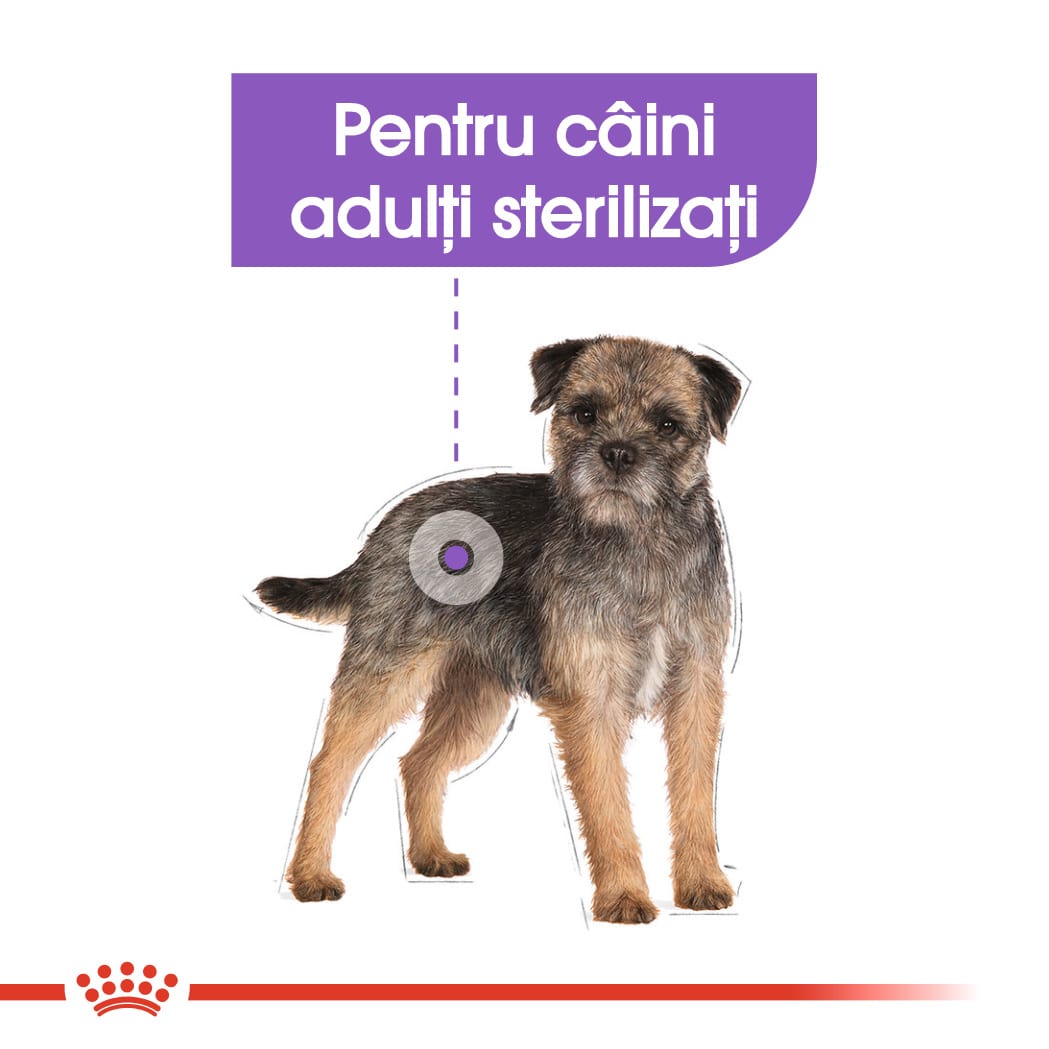 RC-CCN-SterilisedMini-CV-Eretailkit-2﻿-ro_RO-min