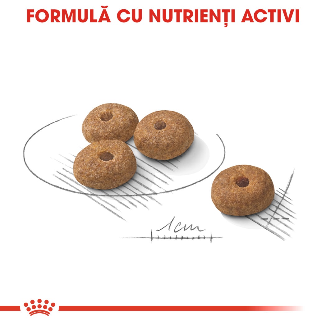 RC-CCN-SterilisedMini-CV-Eretailkit-5﻿-ro_RO-min