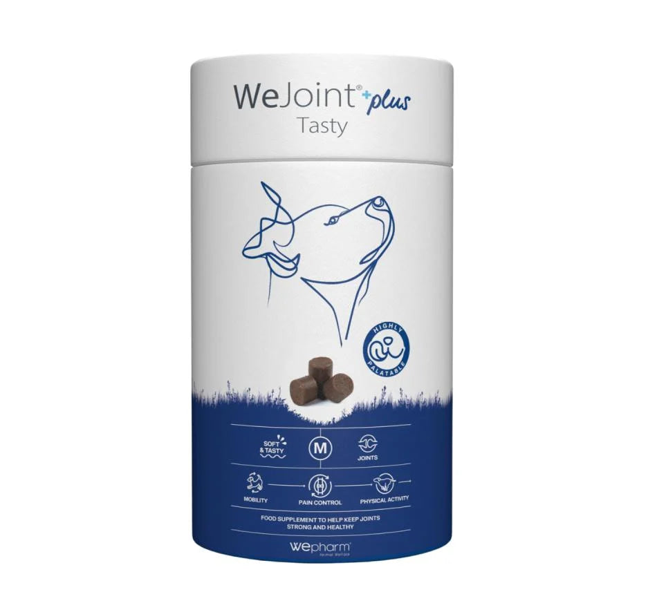 WeJoint Plus Tasty Large Breed – 30 tablete masticabile