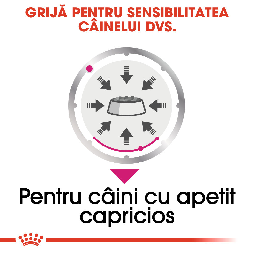 RC-CCN-Wet-Exigent-CV-Eretailkit-3-ro_RO