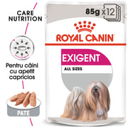 RC-CCN-Wet-Exigent-MV-Eretailkit-ro_RO