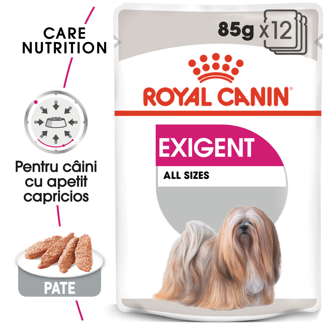 RC-CCN-Wet-Exigent-MV-Eretailkit-ro_RO