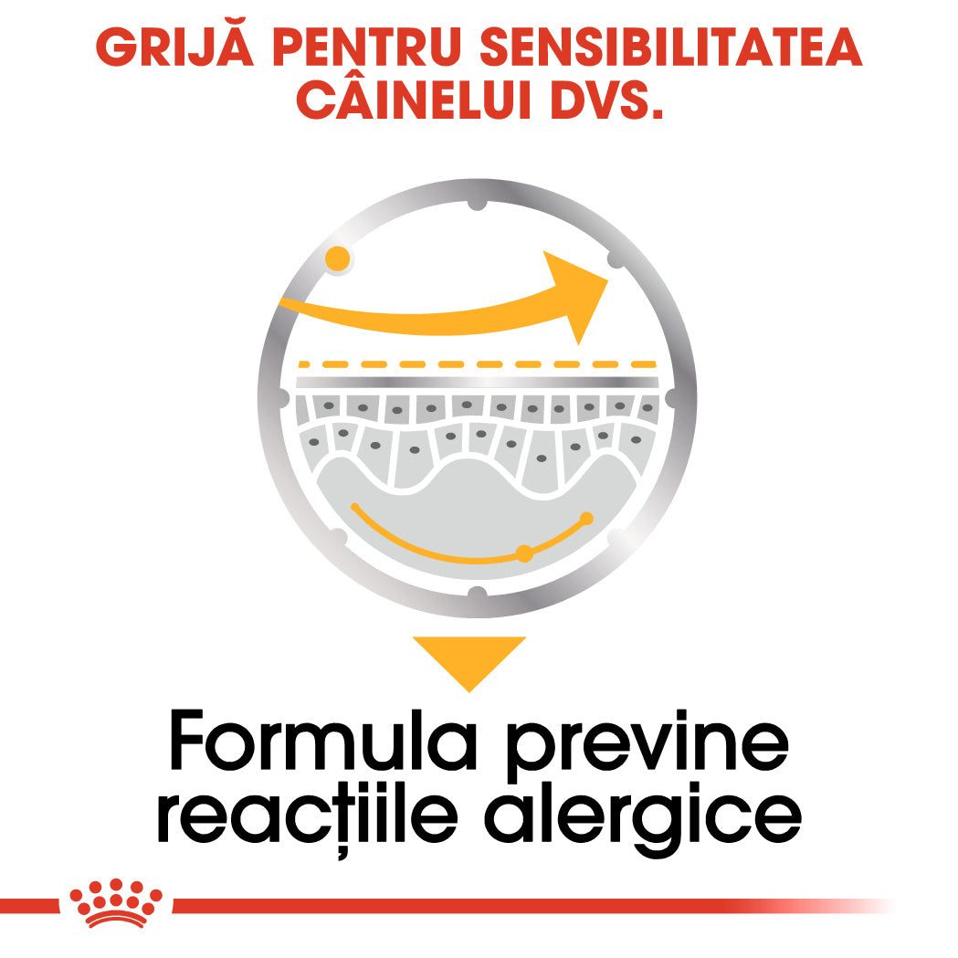 RC-CCN-Wet-Dermacomfort-CV-Eretailkit-3-ro_RO
