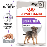RC-CCN-Wet-Sterilised-MV-Eretailkit-ro_RO