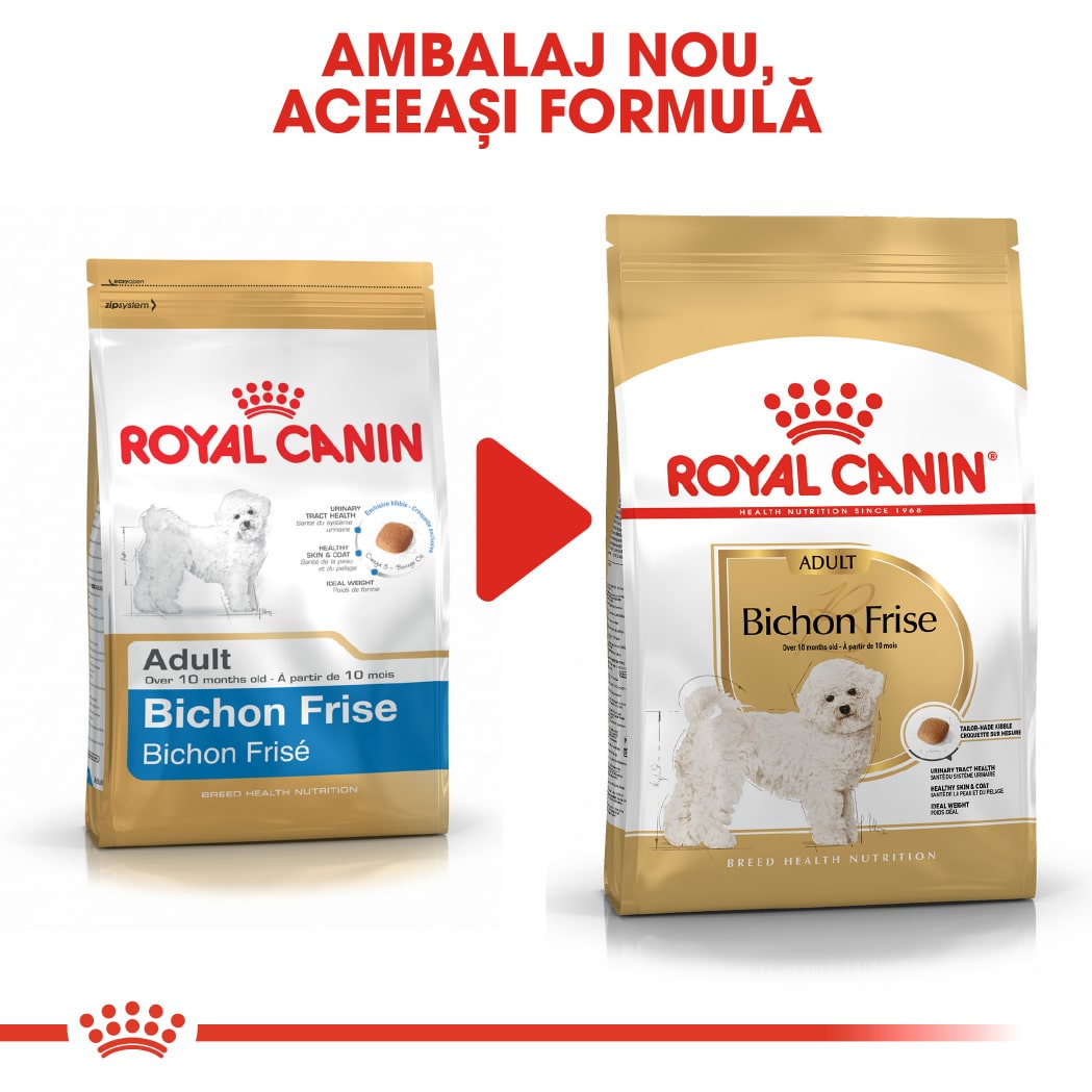 RC-BHN-BichonFrise-CV-Eretailkit-4﻿-ro_RO-min