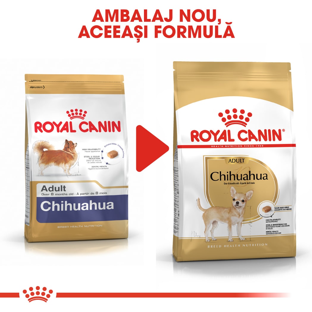 RC-BHN-Chihuahua-CV-Eretailkit-4﻿-ro_RO-min