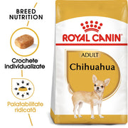 RC-BHN-Chihuahua-MV-Eretailkit﻿-ro_RO-min