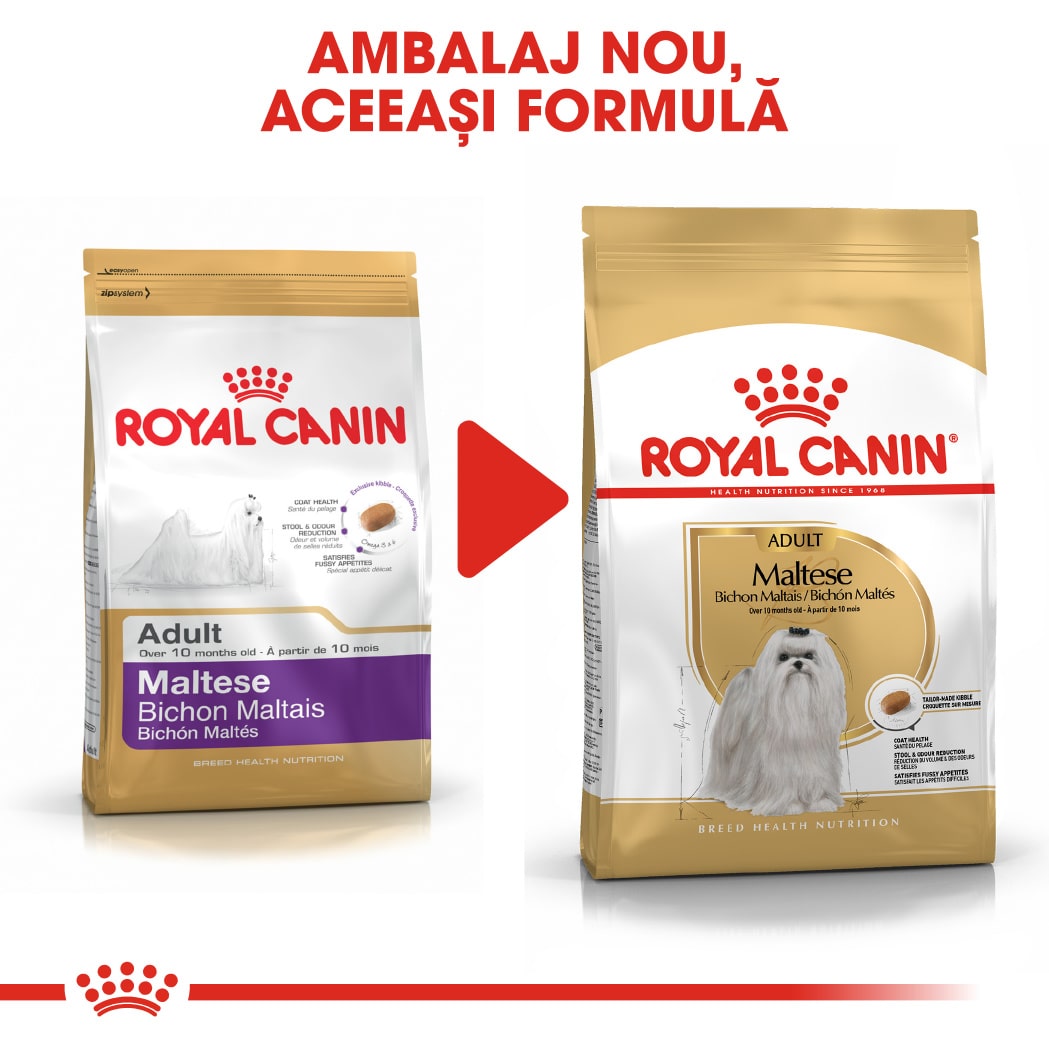 RC-BHN-Maltese-CV-Eretailkit-4﻿-ro_RO-min