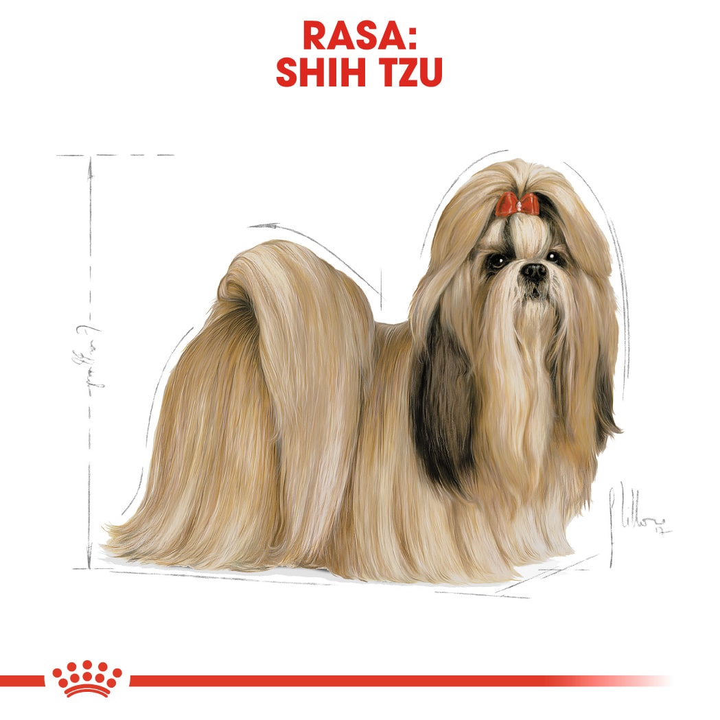 RC-BHN-ShihTzu-CV-Eretailkit-1﻿-ro_RO-min